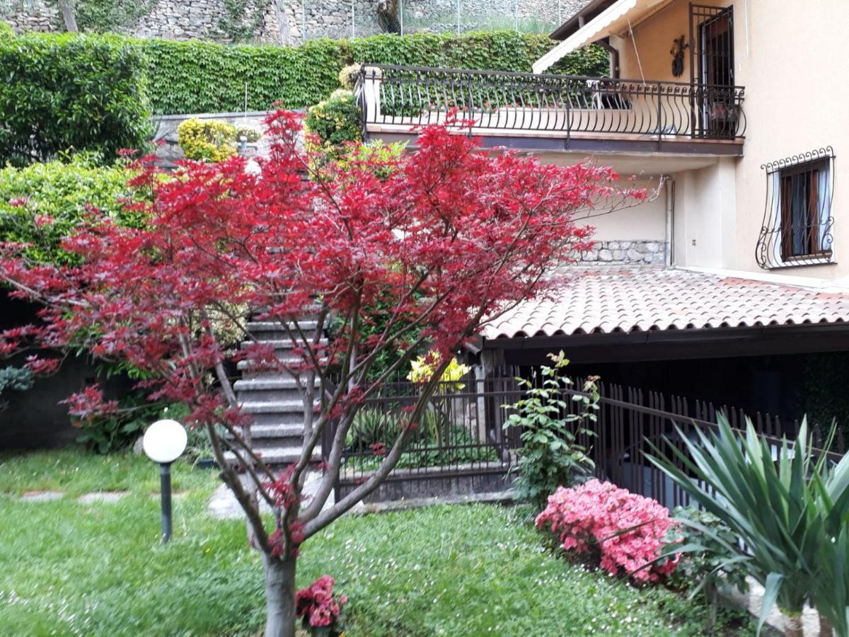 Giardino Dei Limoni Villa Toscolano Maderno Buitenkant foto